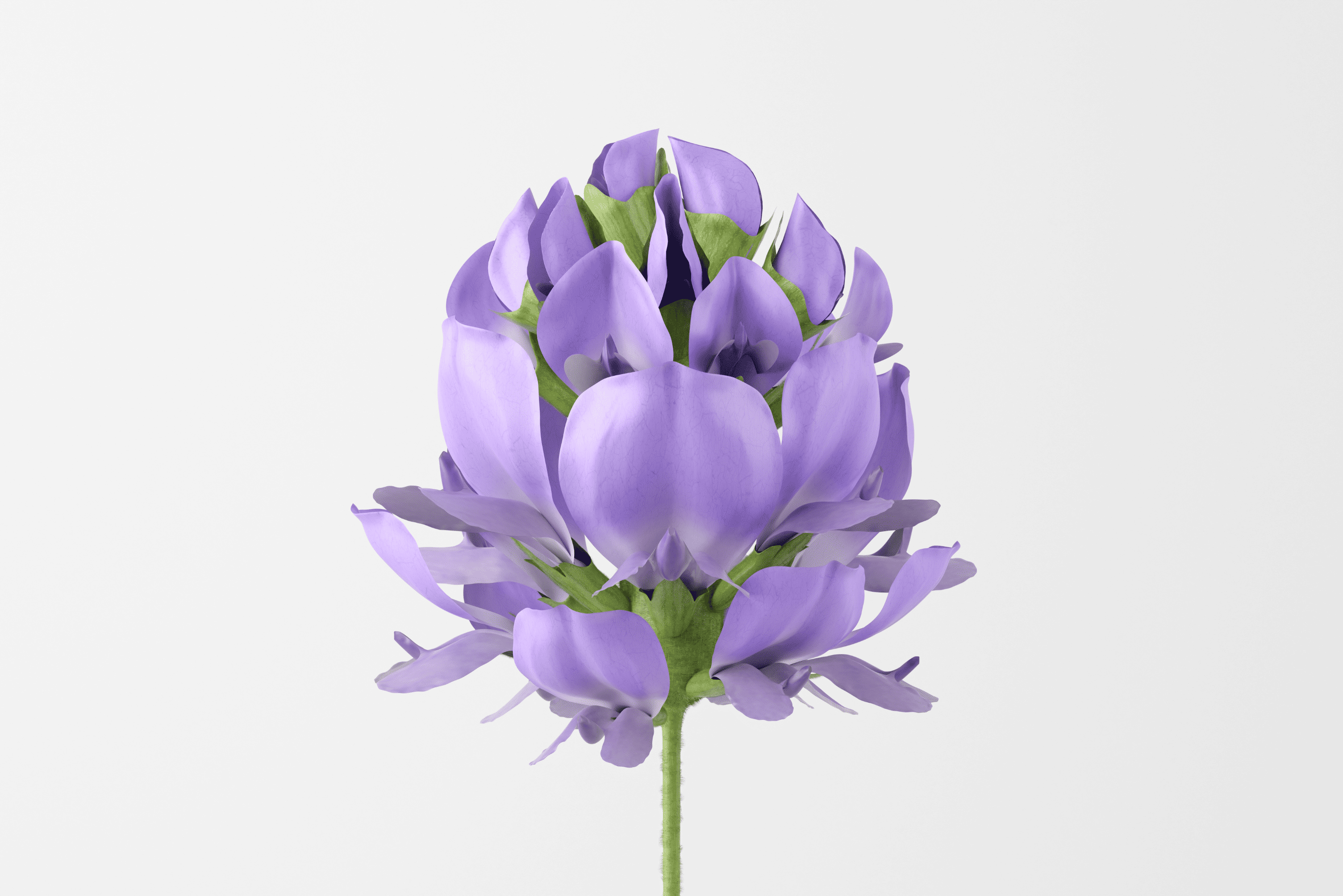 バクチオールとは?次世代レチノールと呼ばれる植物由来成分を解説