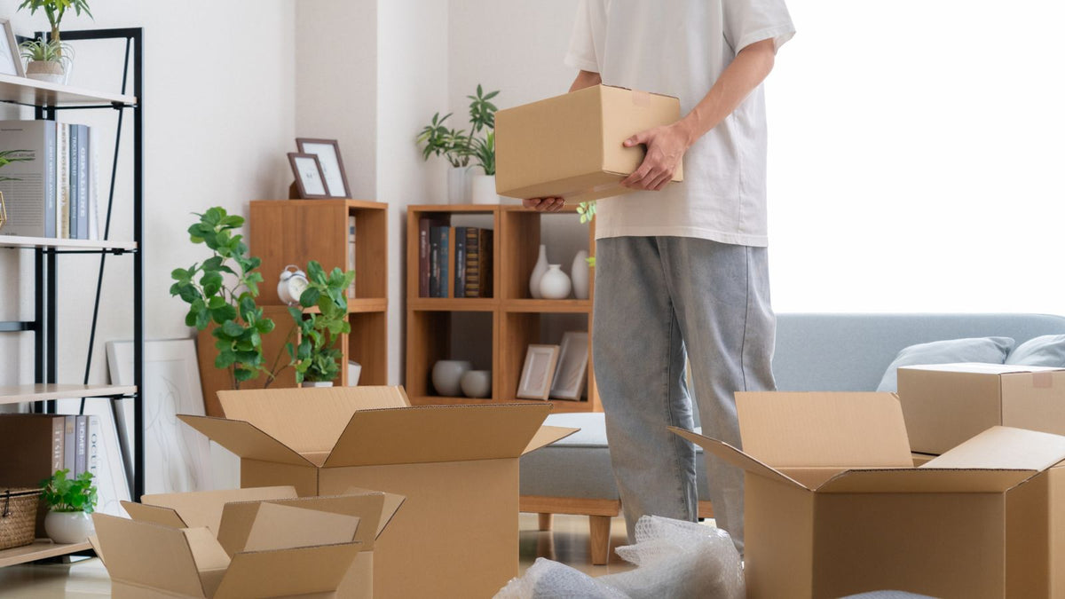 観葉植物と木の棚のある明るい部屋で、段ボール箱を抱えて運ぶ人と、床に置いた開いた段ボール箱（顔は写っていない）