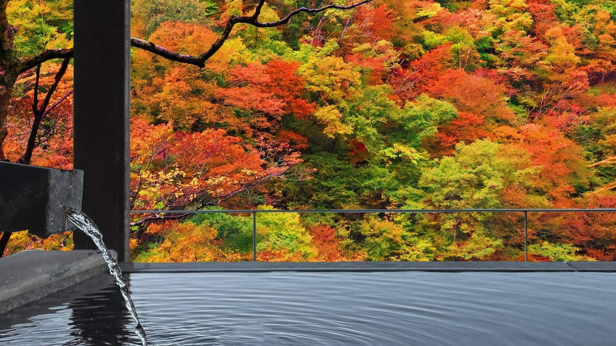 色づいた木々の山を望む露天風呂で、黒い石の湯口から湯が注がれ、水面に波紋が広がっている